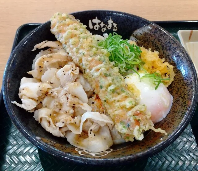 はなまるうどん イオンモール苫小牧店 - 苫小牧（うどん）の写真