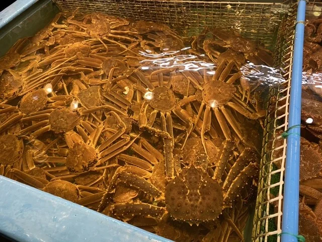 武田鮮魚店 - 小樽（その他）の写真