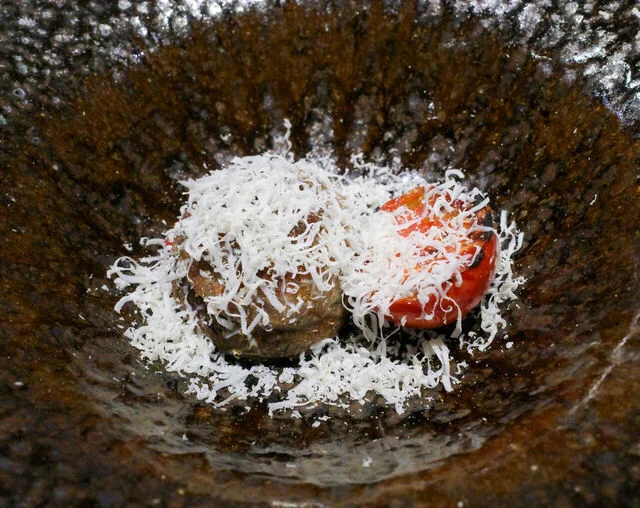 炉ばたとワイン K - 釧路（ろばた焼き）の写真