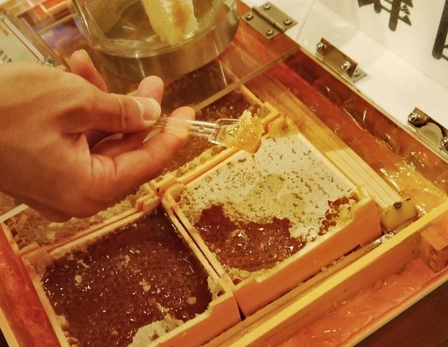 杉養蜂園 登別店（スギヨウホウエン） - 登別市その他（ソフトクリーム）の写真