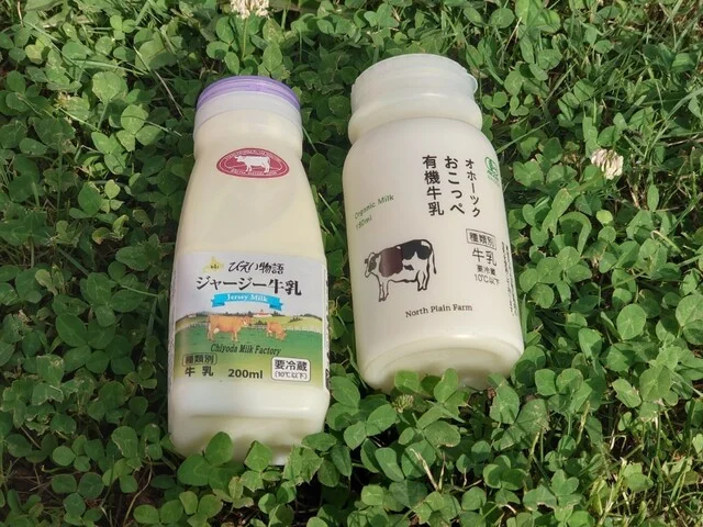 ハルニレポッポ - 緑が丘（カフェ）の写真