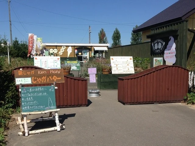 カフェ ツリーテラス（CAFE TREE TERRACE） - 美瑛（カフェ）の写真