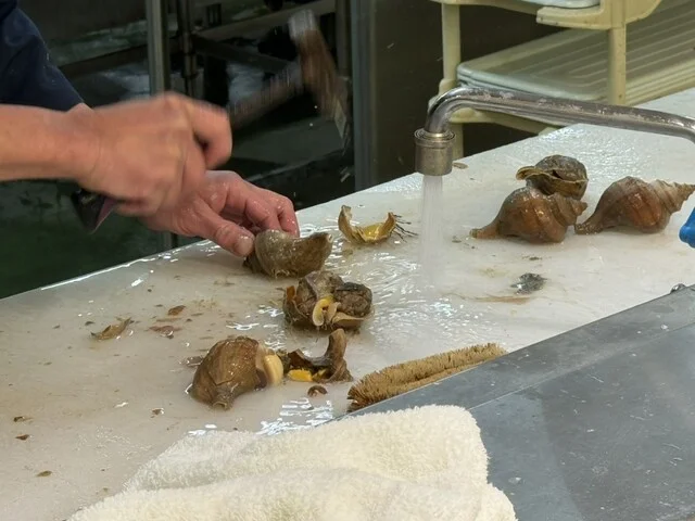 フードD エクスプレス見山店 - 青葉（コンビニ・スーパー）の写真