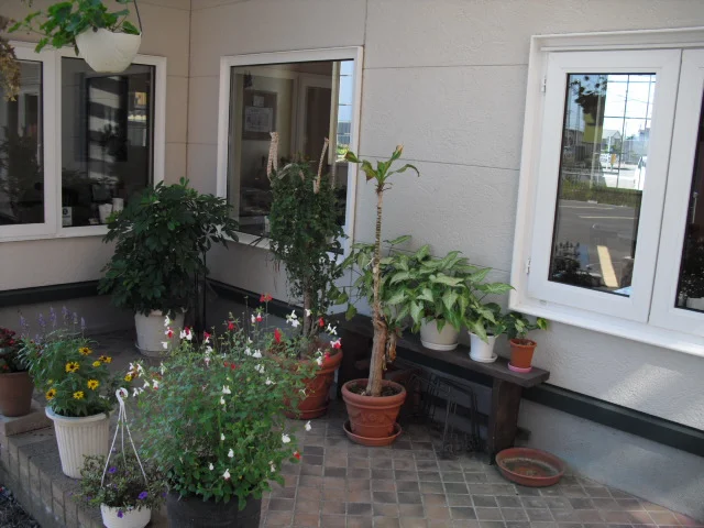 サンクス ア ロット（Thanks a lot） - 新富士（洋食）の写真