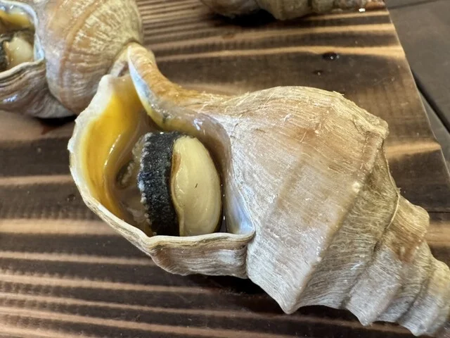 ゴーゴー食堂 港町ぷらっと市場店 - 苫小牧（食堂）の写真