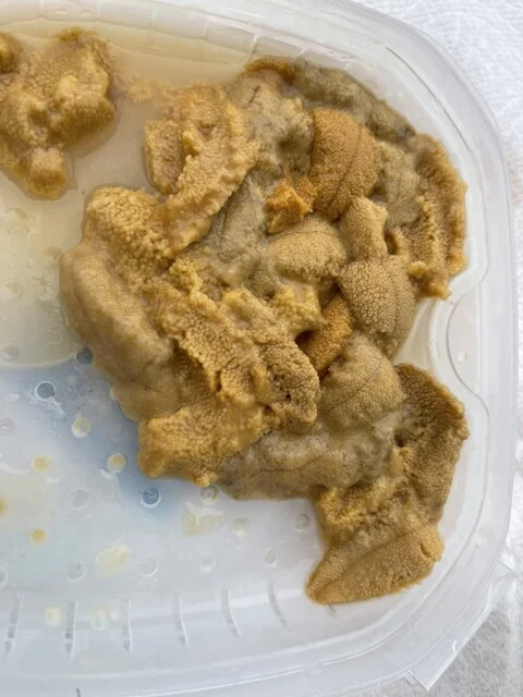 魚金商店 - 苫小牧（その他）の写真