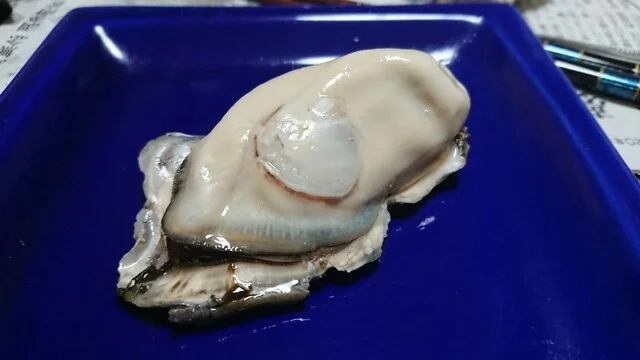 サンヒルズ - 桂台（その他）の写真