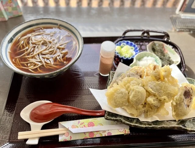 菫（スミレ） - 近文（そば）の写真