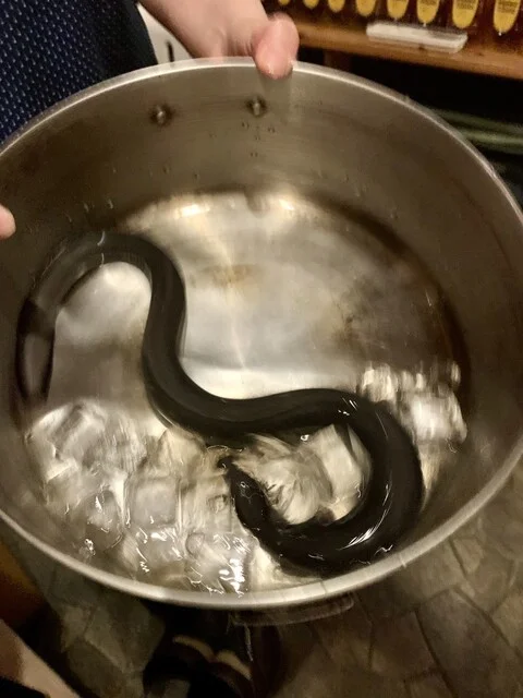 居酒屋 ほたる（苫小牧の居酒屋　ほたる） - 青葉（居酒屋）の写真