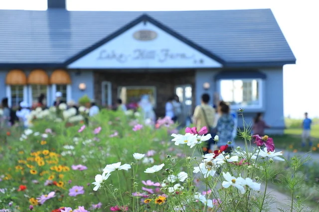 レークヒル・ファーム（Lake-Hill Farm） - 洞爺湖町その他（ジェラート・アイスクリーム）の写真