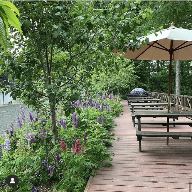 リッツ ガーデン 虹（Ritz Garden Niji） - 美馬牛（カフェ）の写真