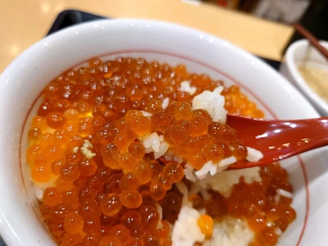 なか卯 38号帯広西4条店 - 帯広（牛丼）の写真