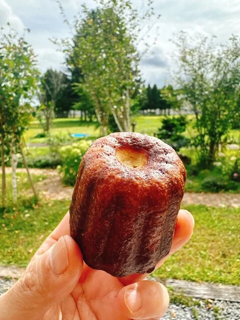 アマン（aman） - 近文（パン）の写真