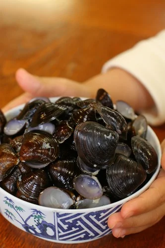元祖しじみラーメン 和歌山 本店 - 五所川原市その他（食堂）の写真