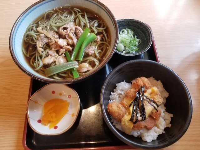 東家 鳥取南8丁目分店（あずまや） - 新富士（そば）の写真