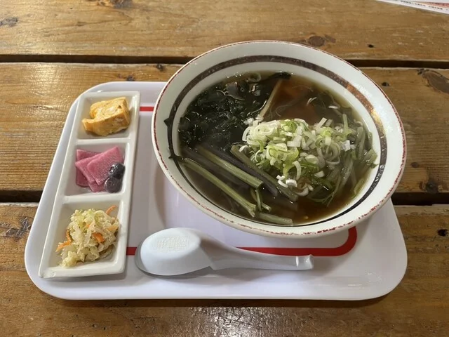 山帽子（ヤマボウシ） - むつ市その他（ラーメン）の写真