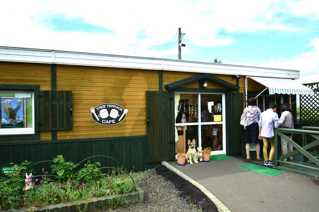 カフェ ツリーテラス（CAFE TREE TERRACE） - 美瑛（カフェ）の写真