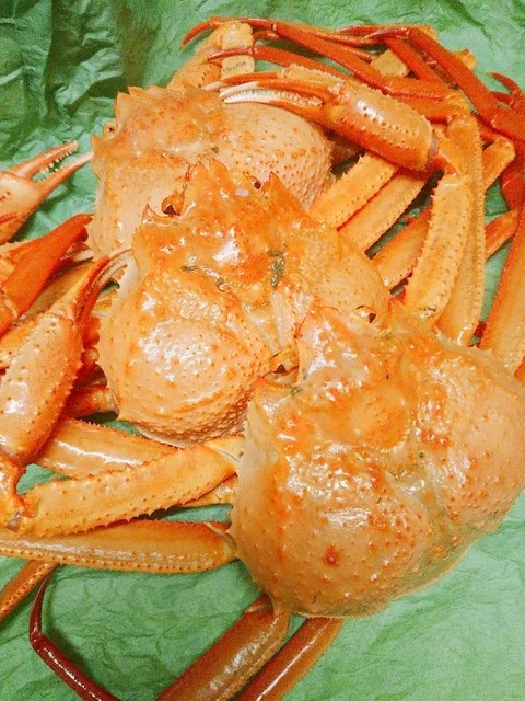 喜楽酒房でん - 釧路（居酒屋）の写真