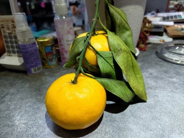 ほびーい喫茶店 - 柏林台（喫茶店）の写真