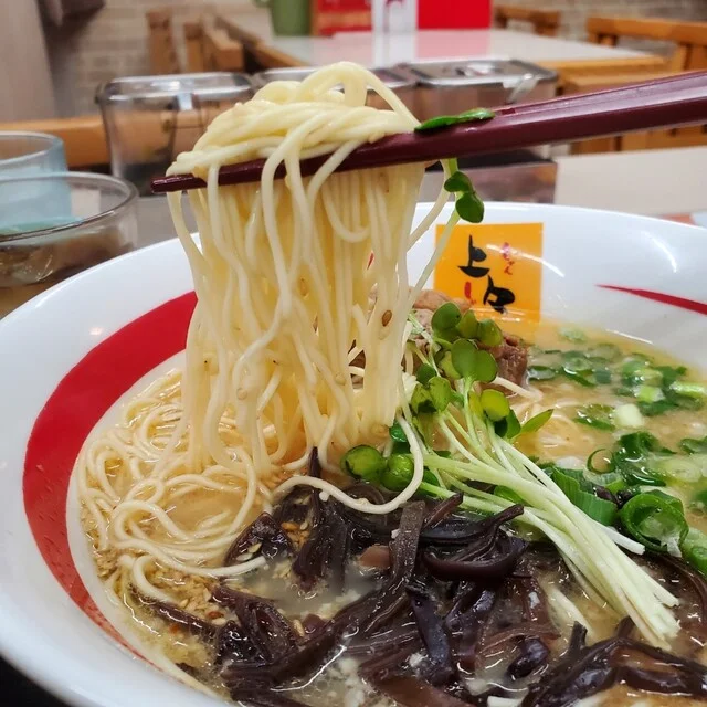 博多麺処 上々ふくちゃん - 新富士（ラーメン）の写真
