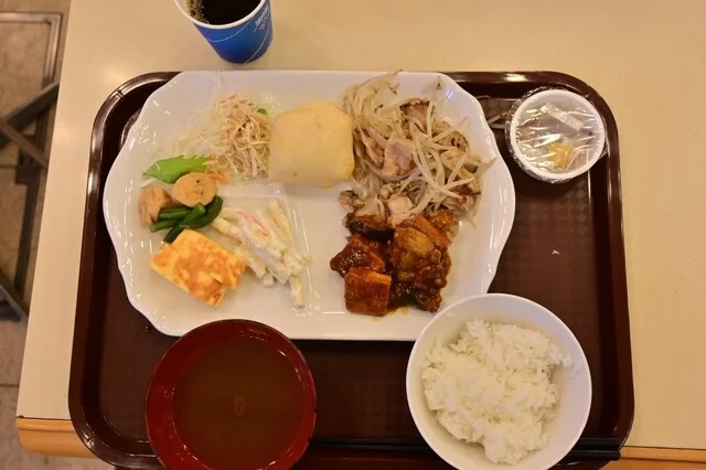 東横INN 苫小牧駅前（トウヨコイン） - 苫小牧（ホテル）の写真