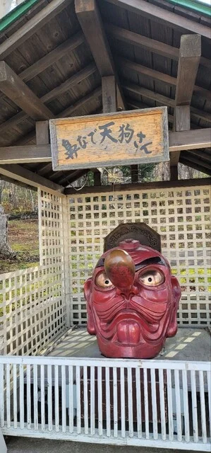 TENGUU CAFE（てんぐー カフェ【旧店名】てんぐ） - 小樽（食堂）の写真