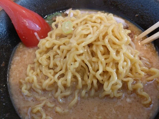 麺屋 海嵐（カイラン） - 桂台（ラーメン）の写真