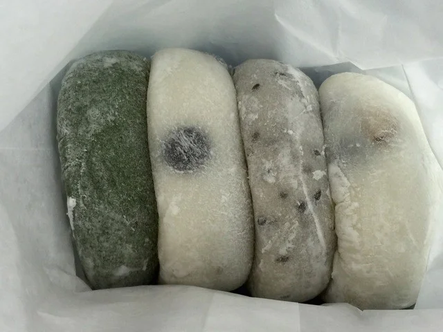 雷除志ん古（（かみなりよけしんこ）） - 南小樽（和菓子）の写真