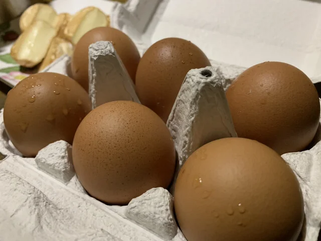 雑貨屋ティノーマ - 糸井（その他）の写真