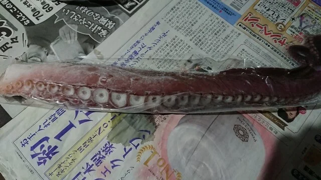 サンヒルズ - 桂台（その他）の写真