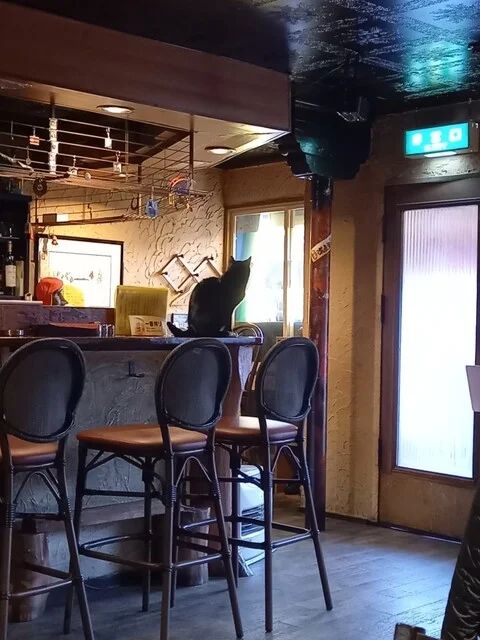 楽笑酒場 すかんぽ - 小樽（居酒屋）の写真