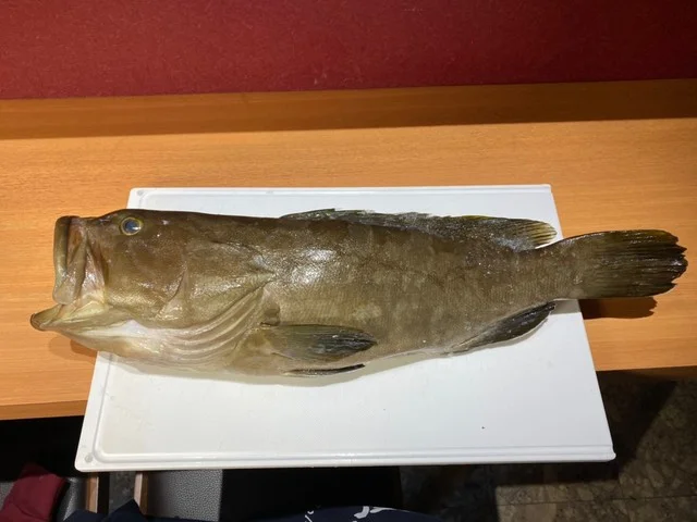 魚々魚かさまつ（【旧店名】魚河岸紀翔） - 帯広（居酒屋）の写真