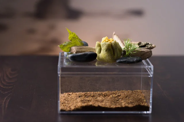 yoshiyuki（【旧店名】リストランテ ヨシユキ ・イタリア料理 イタリコ） - 帯広（イタリアン）の写真