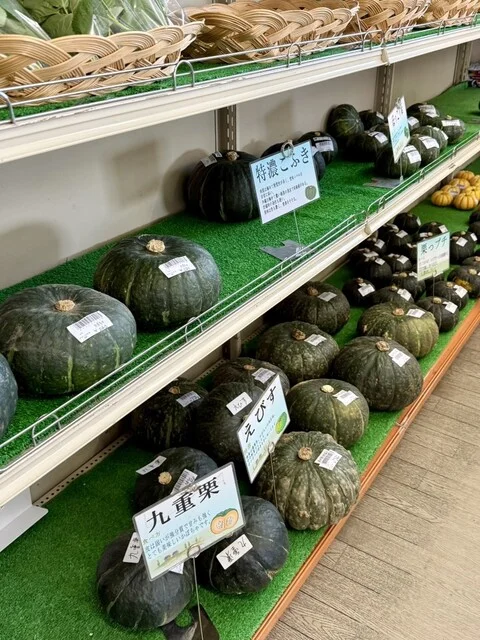 グリーンヒル905（グリーンヒルキュウマルゴ） - 網走（その他）の写真