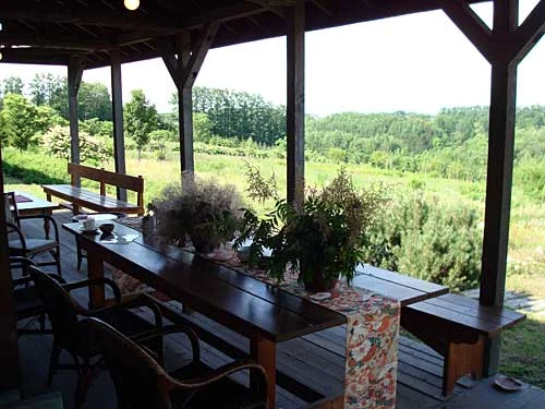 月夜のきつね - 神楽岡（喫茶店）の写真