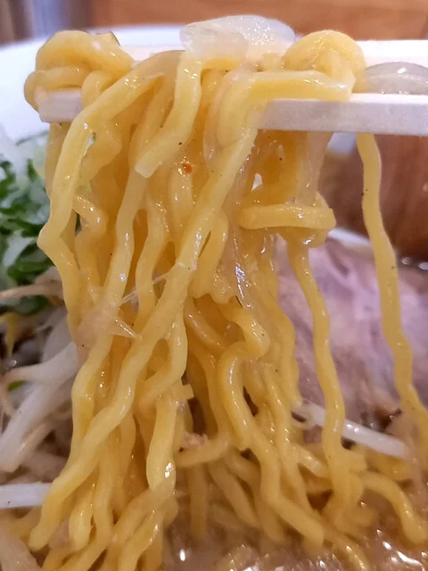藤原製麺 - 旭川四条（その他）の写真