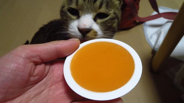 サーモン館不二屋 エスタ店 - 帯広（その他）の写真