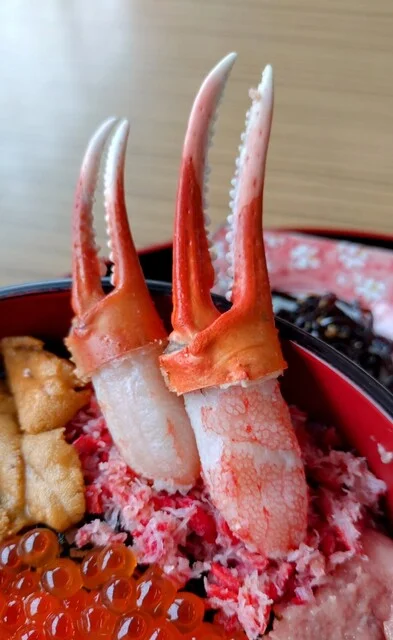 みなとや - 稚内（食堂）の写真