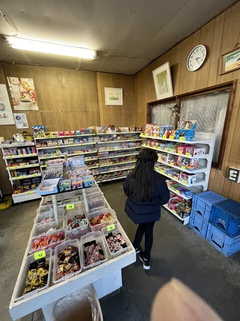 オリエント企画 - 青葉（その他）の写真