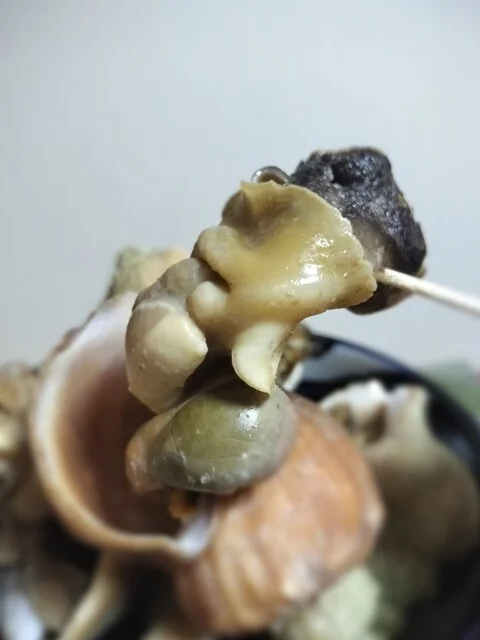 本間鮮魚店 - 南小樽（その他）の写真