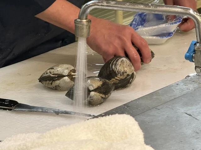 フードD エクスプレス見山店 - 青葉（コンビニ・スーパー）の写真