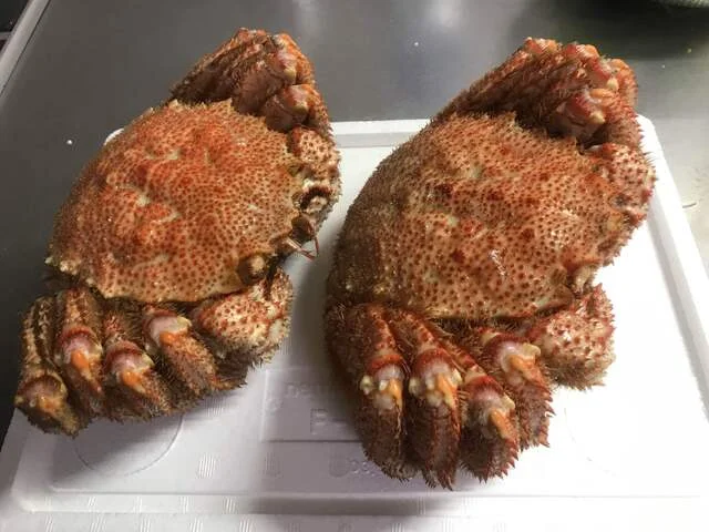 根室海鮮市場カネカイチ鈴木商店 - 根室（その他）の写真