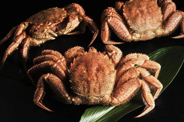 うろこ亭（うろこてい） - 小樽（海鮮）の写真