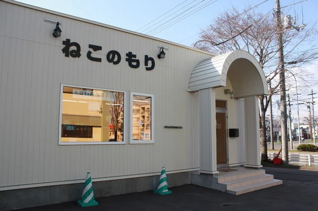 ねこのもり - 釧路（カフェ）の写真