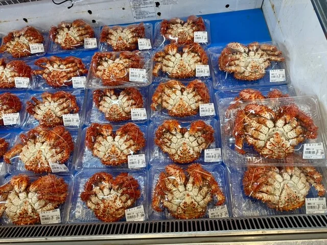 口コミ一覧 : 魚信 本店の写真
