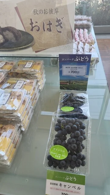 六花亭 鶴見橋店 - 新富士（和菓子）の写真