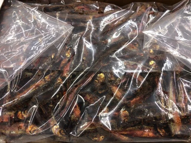 角崎商店（ツノサキショウテン） - 呼人（その他）の写真