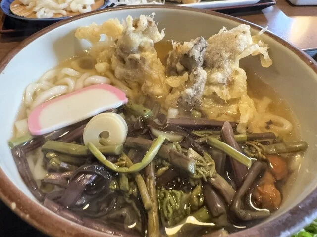 たんた家（たんたや） - 帯広（うどん）の写真