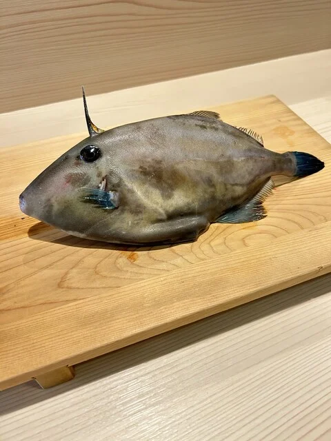 日本料理 京田 - 釧路（日本料理）の写真