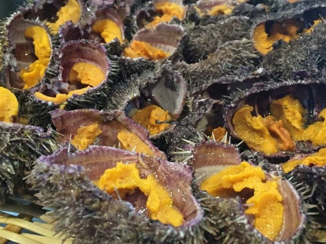 SUSHI BAR THE ƎND -縁戸- - 桂台（寿司）の写真